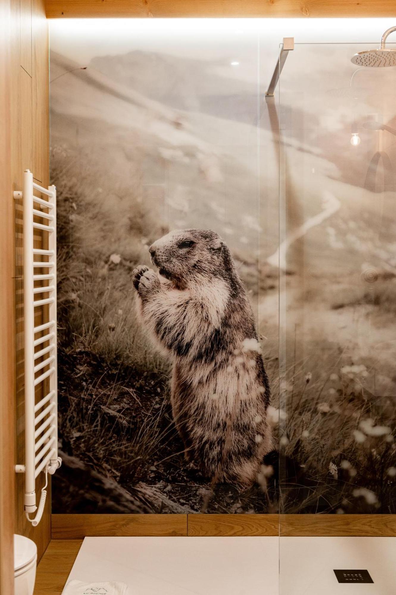 Aparthotel Ku Dolinie Kościelisko Camera foto